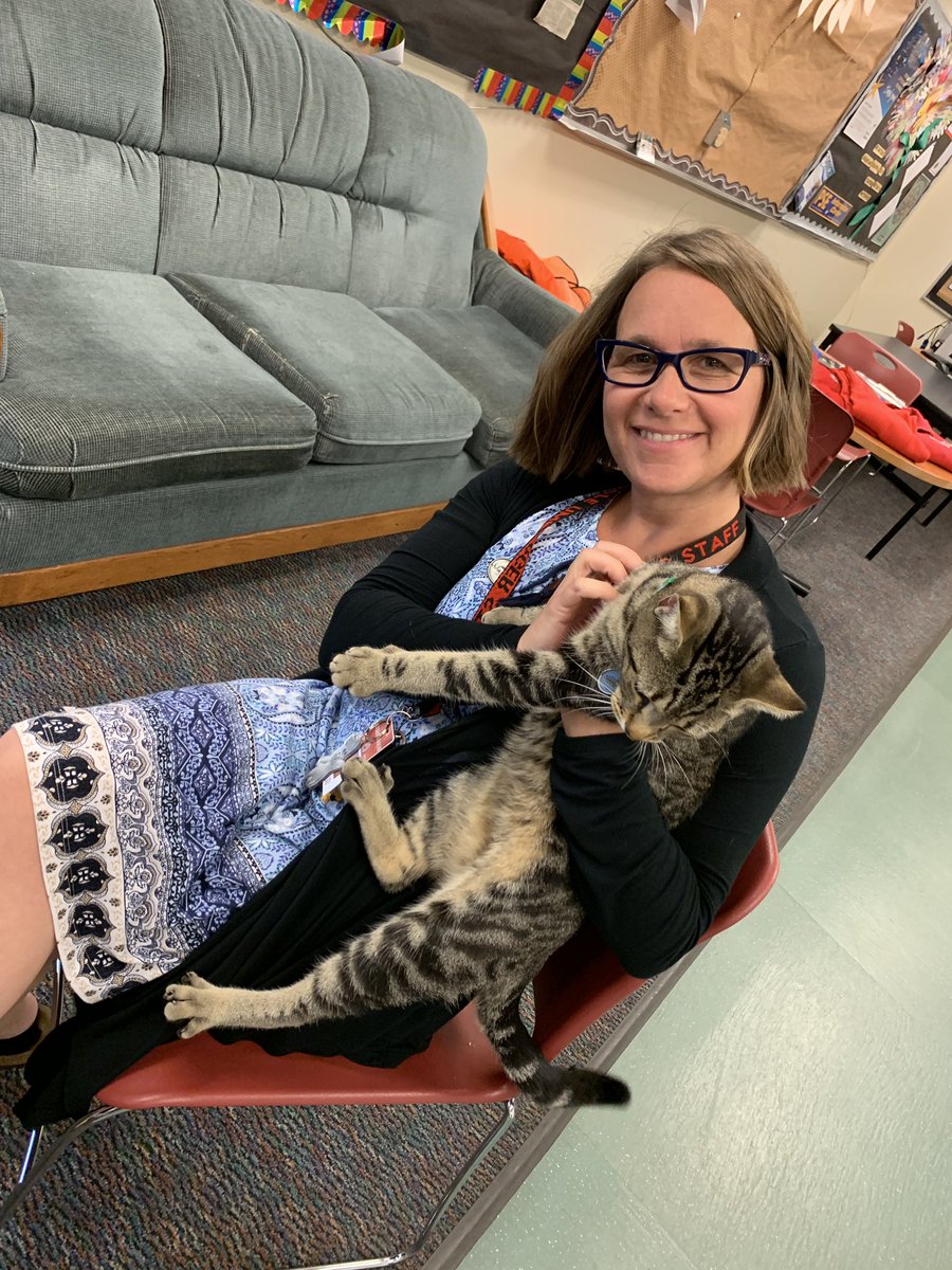 LucilleSchool's tweet photo. #LU is so cool even cats want to come on the first day 😂 #WelcomeBackBE #WindowsOpen #Visitor https://t.co/ubjUb07djM