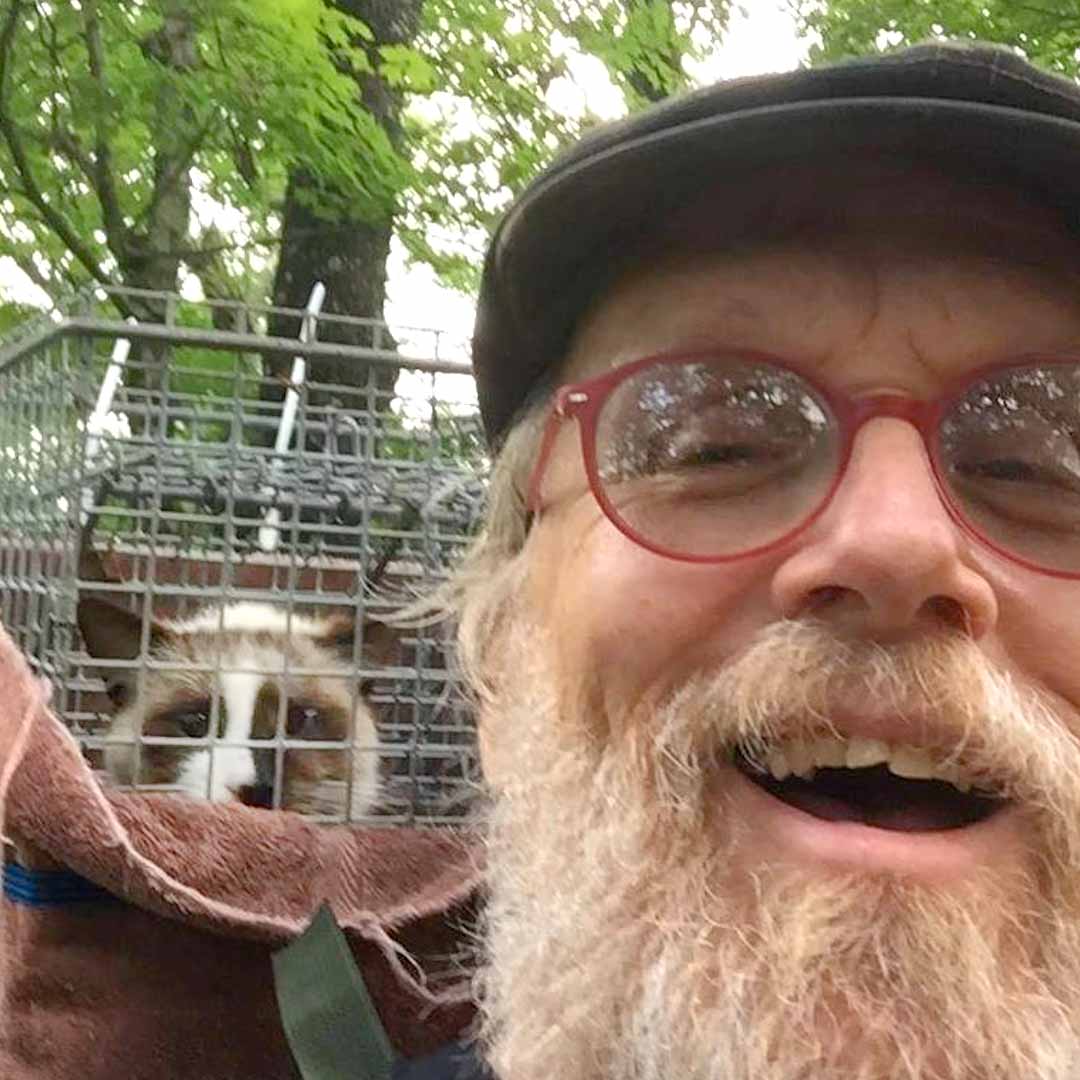 Couple hears about a cat stranded on a mountaintop — and hikes straight