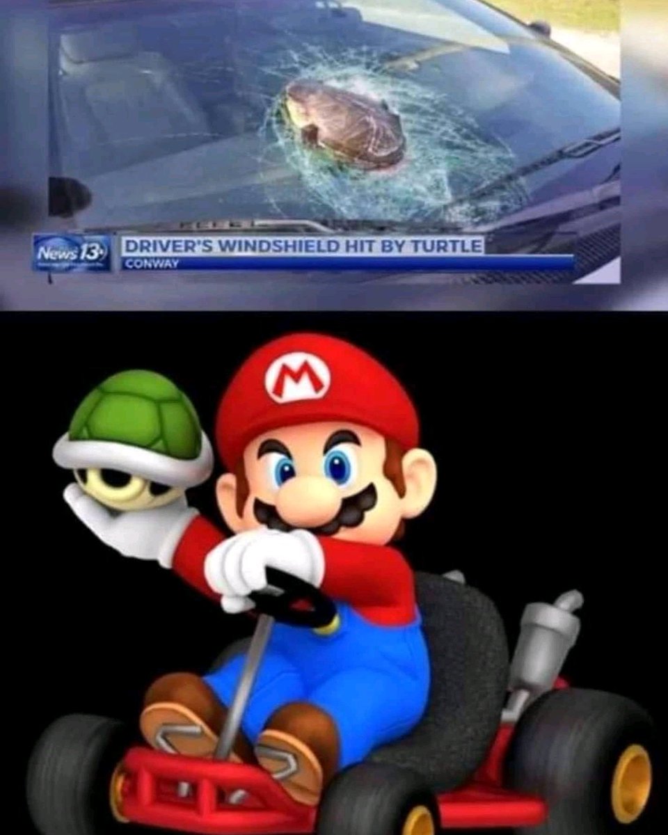 LevelUpOutfit's tweet image. When life emulates Mario Kart...
😂😂😂

#mario #mariokart #turtleshell #greenturtleshell #blueturtleshell 
#drivinghazards #drivesafe
#nintendofan #nintendofam 
#makeyoulaugh #makeyousmile
