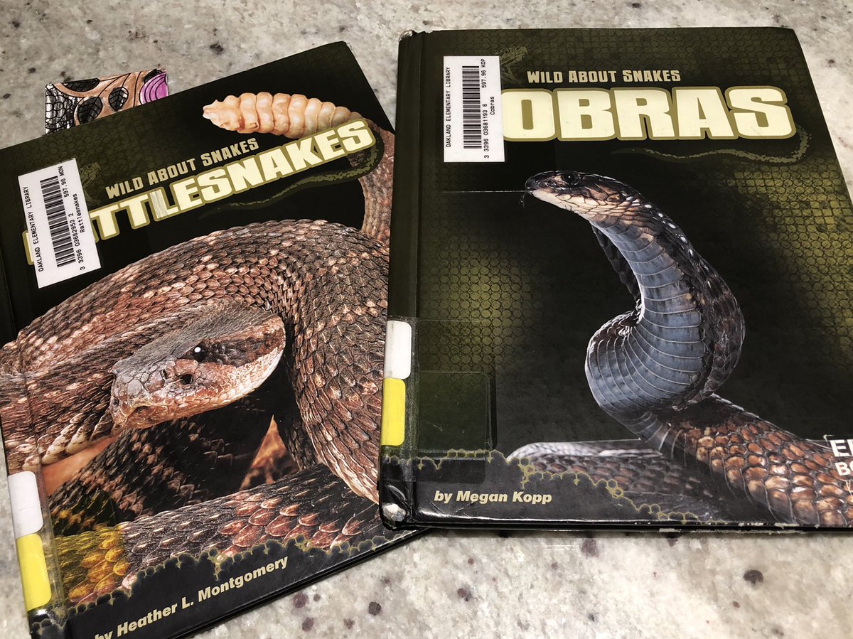 notdantonholden's tweet photo. The boy brought home his first library books of 3rd grade. What up @BrianBeckner
#SnakeHoarder https://t.co/rh3gKB1ejT