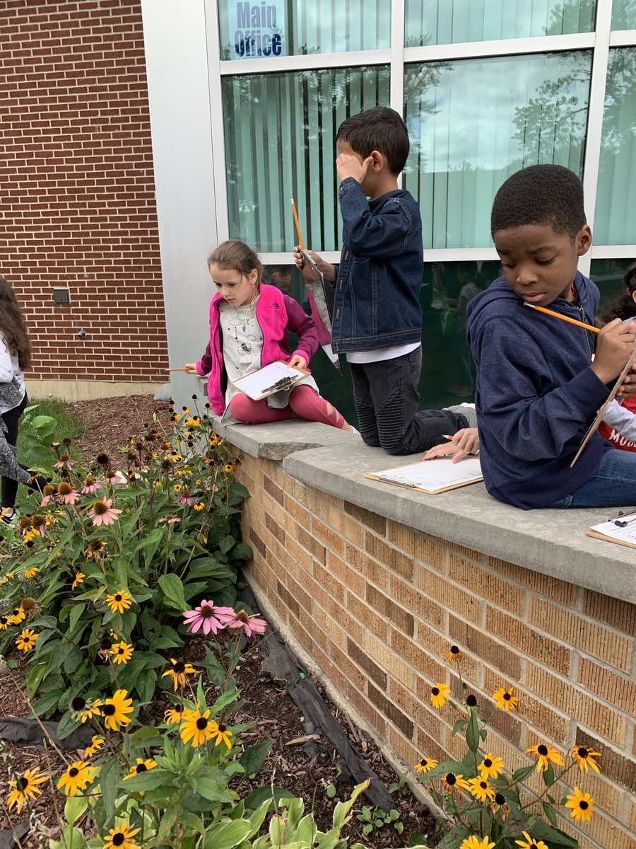 CummingsClassrm's tweet image. Room 2 ecologists were busy observing living plants and animals in nature today. We just can’t wait to report our findings! 🌳🕷
#cridgepride 
#tciscience