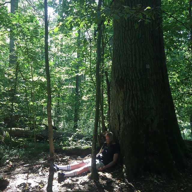 kvltrve's tweet photo. Det som engang vacay #home #chill #wokeuplikethis #holidays #bialowieza #mesosleepy #zebrazubra #vikingdeath https://t.co/QD4ybVe8w3