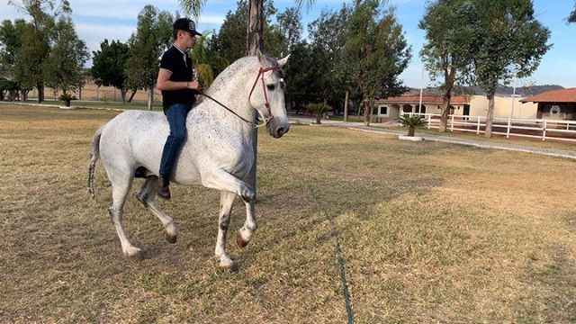 CorridosVIP's tweet photo. Chulada 😍🐴 compa @fedefigueroa_ 👌👌
.
.
.
#corridosvip #corridos #fedefigueroa #fedefigueroavip #teamcorridosvip #corridosviprecords https://t.co/TNn6mfUZPm https://t.co/z2T7Ll0Rrw