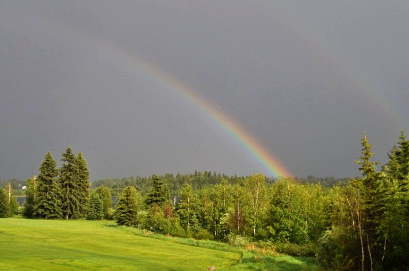 SpringLakeRanch's tweet image. Join us for HOMEWARD Sept. 14th ~ Hot Air Balloon, Home Tours + More... - mailchi.mp/3ebf21d03852/j…