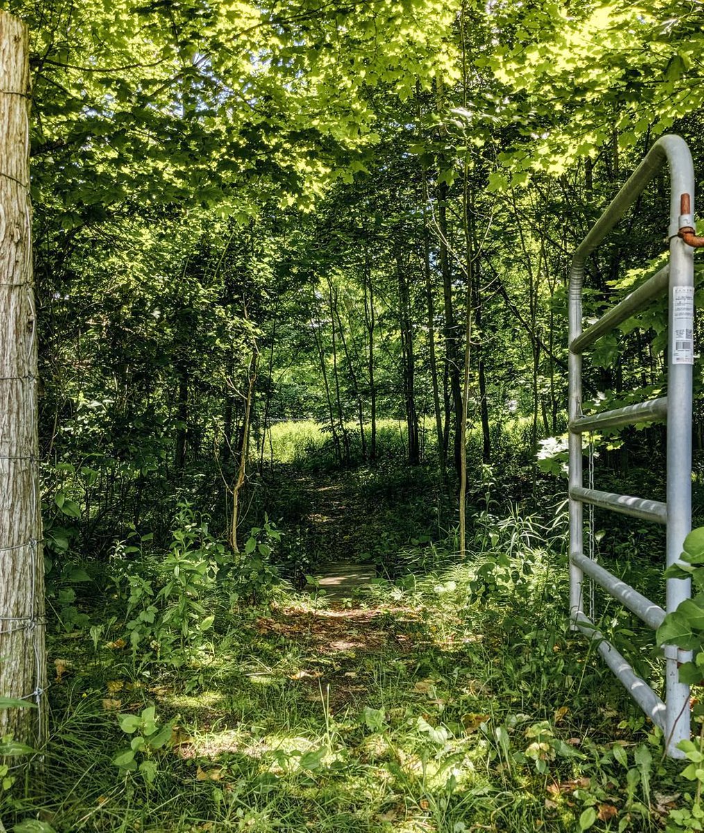 With lots of trails and grounds to explore, find your personal quiet hideaway here.

#kawarthas #discoverON #optoutside #ontarioresort