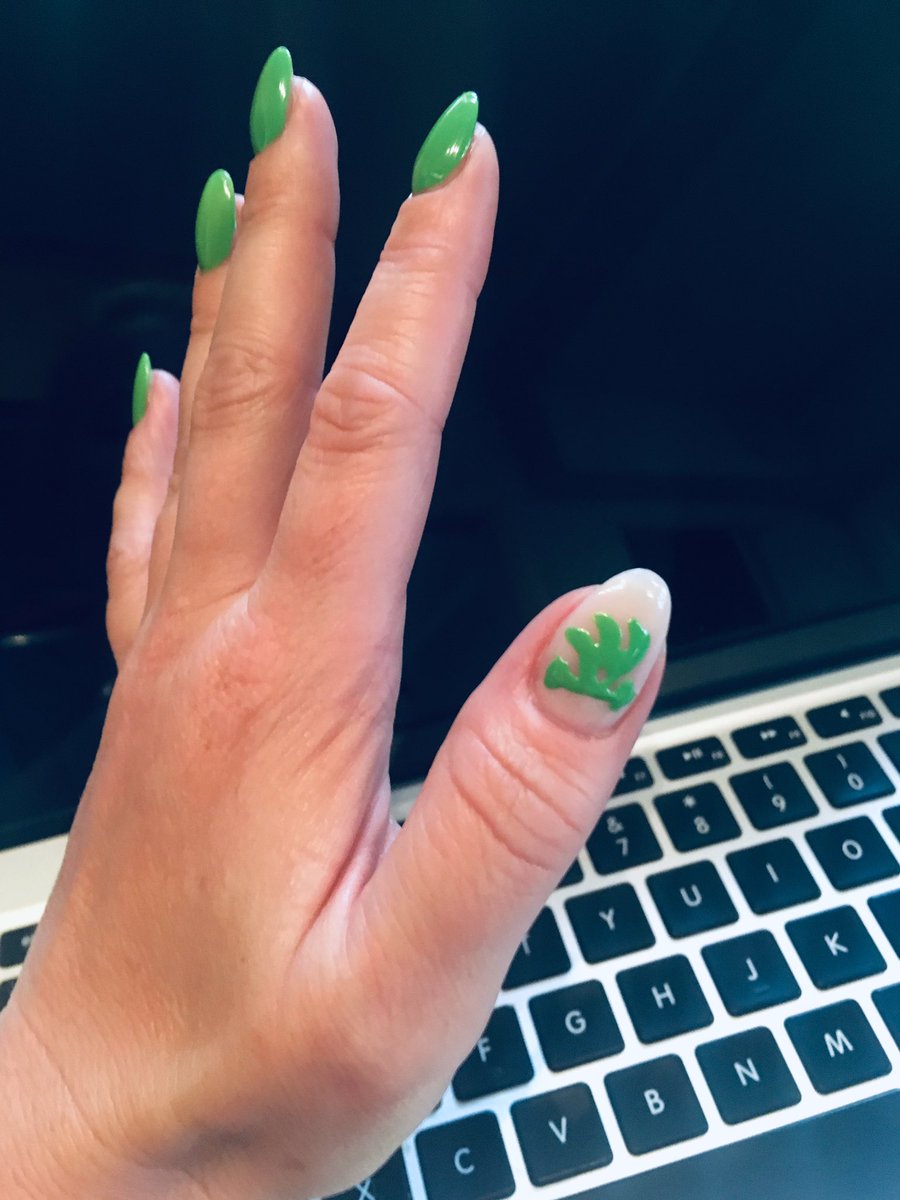 Sheffield Guided Rides tweet media