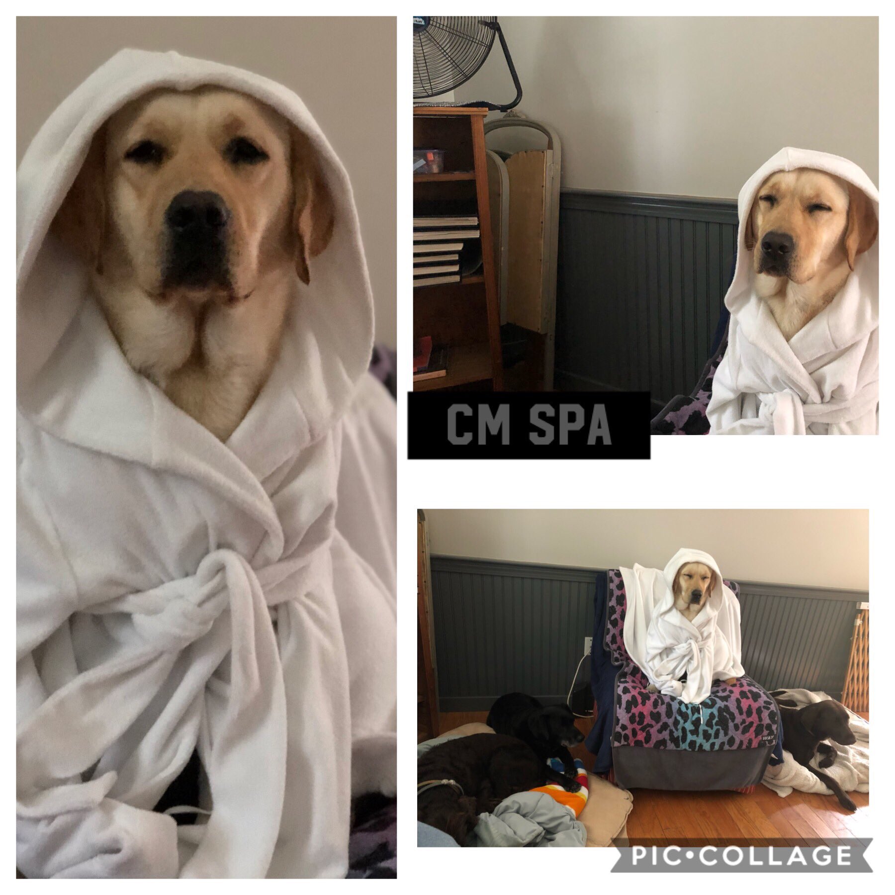 Birthday Spa for miss Cleo! Happy First BDay!!! 