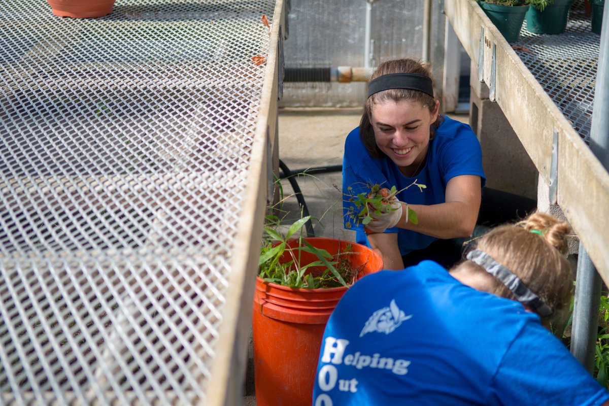 WestfieldState's tweet photo. Opening day began with Owls volunteering throughout the City of Westfield for our 10th annual #HOOTDay, a community service event that's all about helping out our town. https://t.co/ZrI5j1P2L6