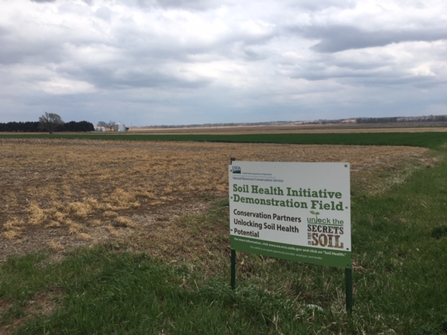 UNL_CropWatch's tweet photo. See cover crop mixes in action at these @UNLExtension Cover Crop Field Tours Sept. 13 at Rogers Memorial Farm near Lincoln and Sept. 17 in Nemaha County.
https://t.co/DEU5Z1LwoG
https://t.co/ppyrqlaVWd
#covercrops #UNLExt https://t.co/H4ixi3ZoVD
