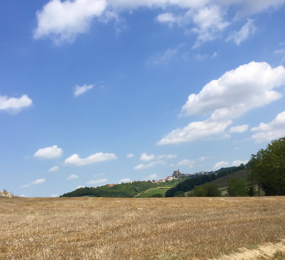 BaloccoDani's tweet photo. #agricolabes #bes #monferrato #unesco #treville #barbera #grignolino #syrah #fivi #siamofivi #dedulà #bestiagrama #xirà #redwine #winelovers #inconversionebio https://t.co/J8lO0thN8a