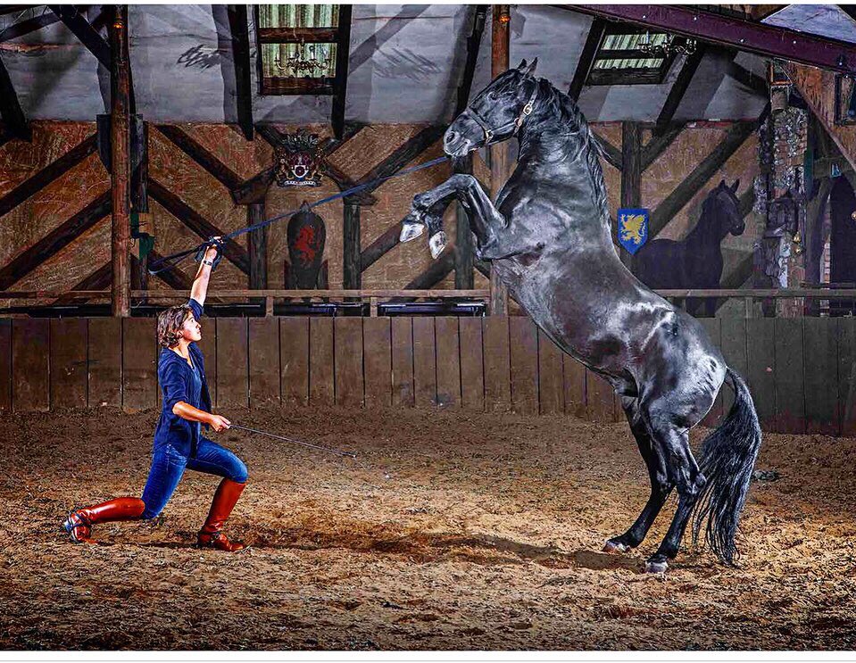 lucy ford tweet media