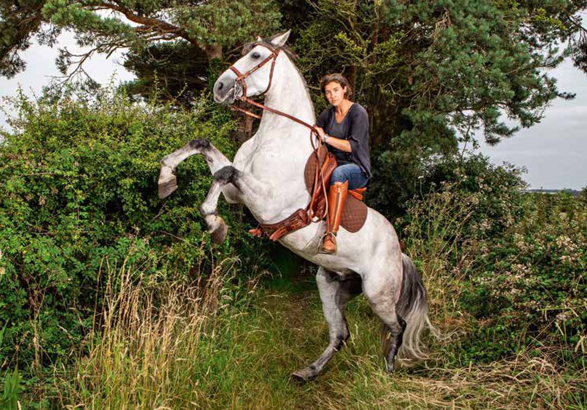 lucy ford tweet media