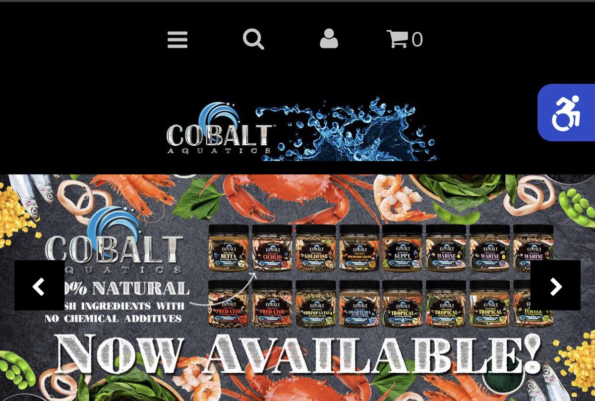 BigCatDaddyReefing tweet media