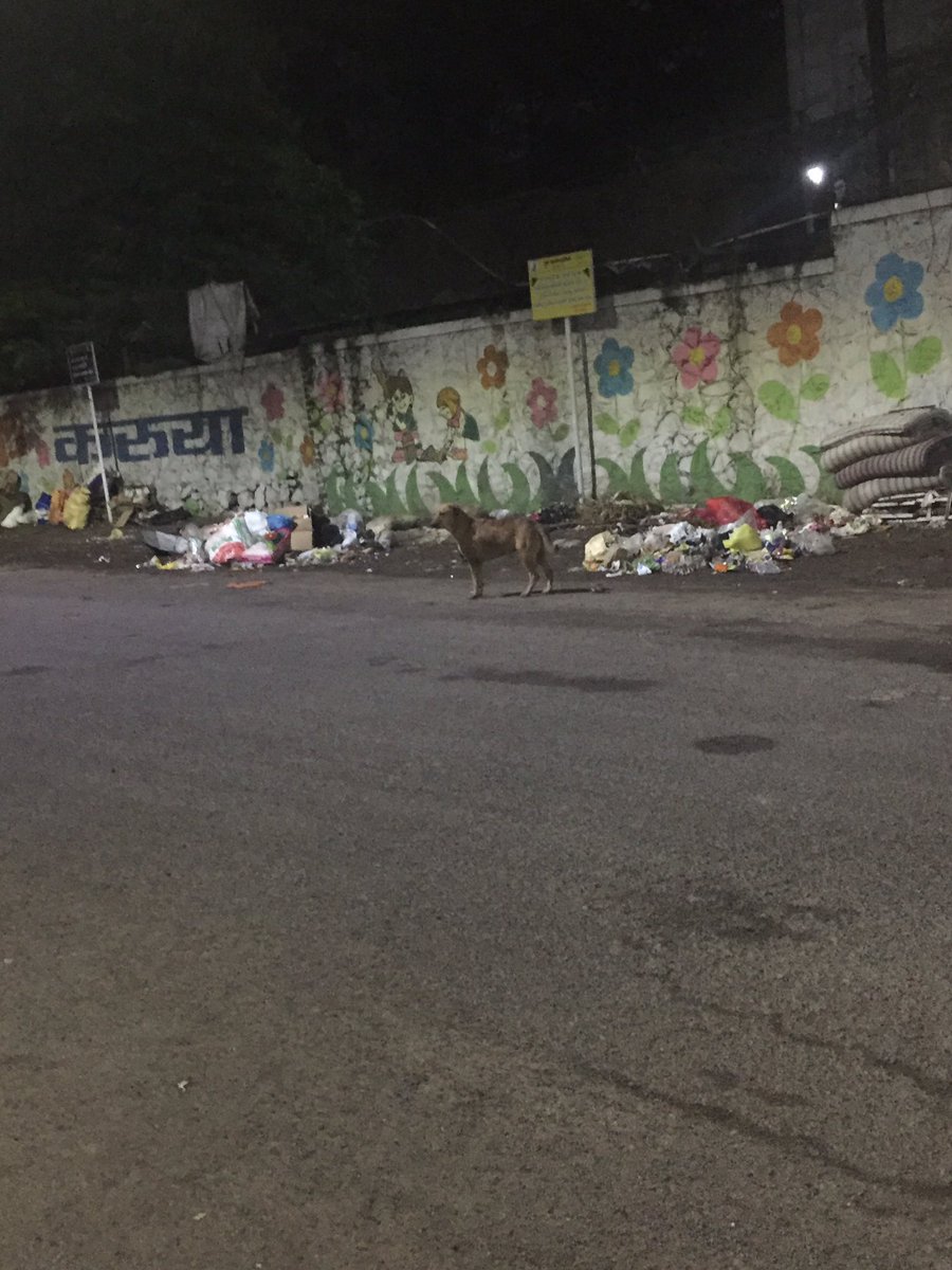 IamNeeraj_k's tweet photo. Day 12: continues 

4/9/19

Come home from work and get greeted by garbage 😍

@PMCPune @SwachhSmartPune @SwachhBharatGov @swachhbharat 
@timesofindia 
#Pune #SwachhBharatAbhiyan https://t.co/2Fmynwwj5U