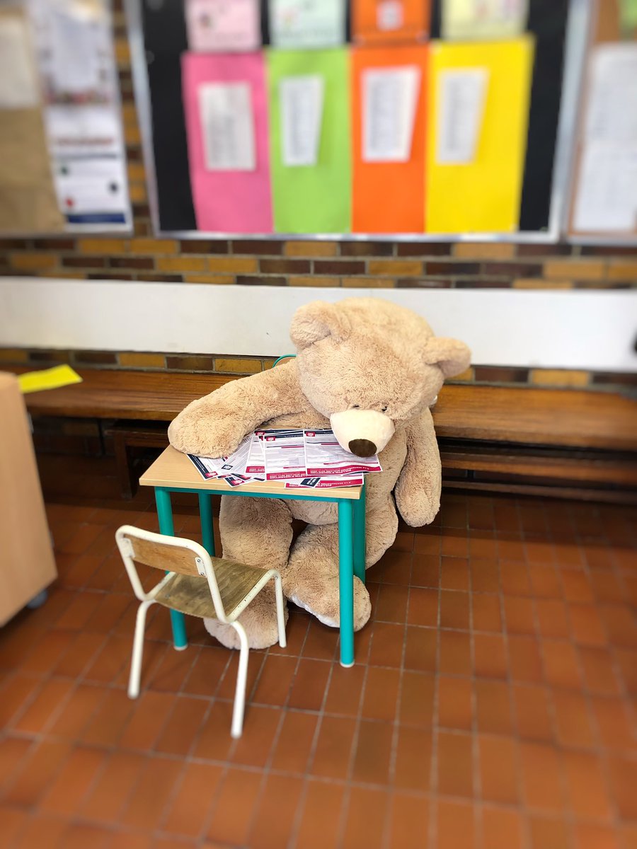 marielemarechal's tweet photo. Et même qu’il n’y a pas que les enfants qui ont fait leur rentrée à l’école dans le 13eme ! #nounours #superstar #paris13 https://t.co/8HPFguS64E