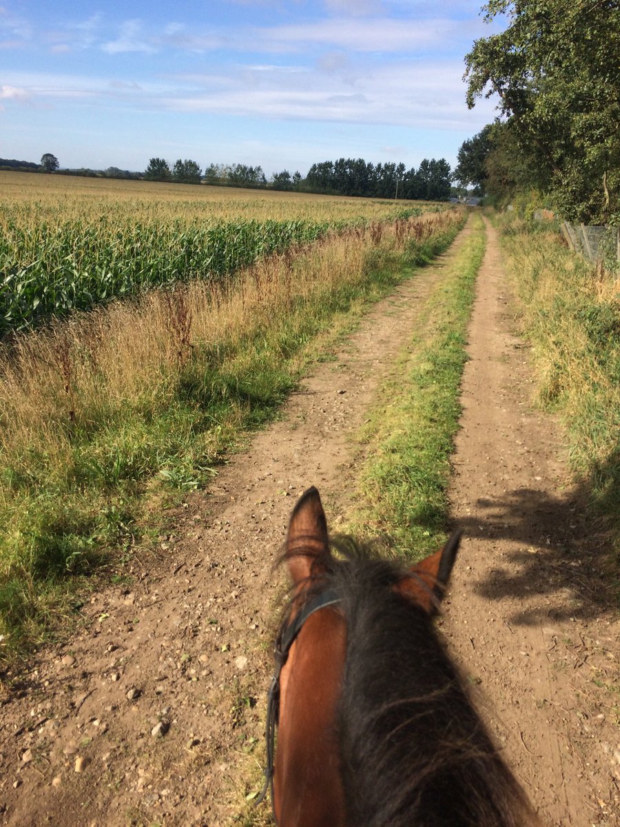 Clare33828218's tweet image. Childcare is expensive but being able to do this is priceless.
#pndaw19 #pandashr #metime