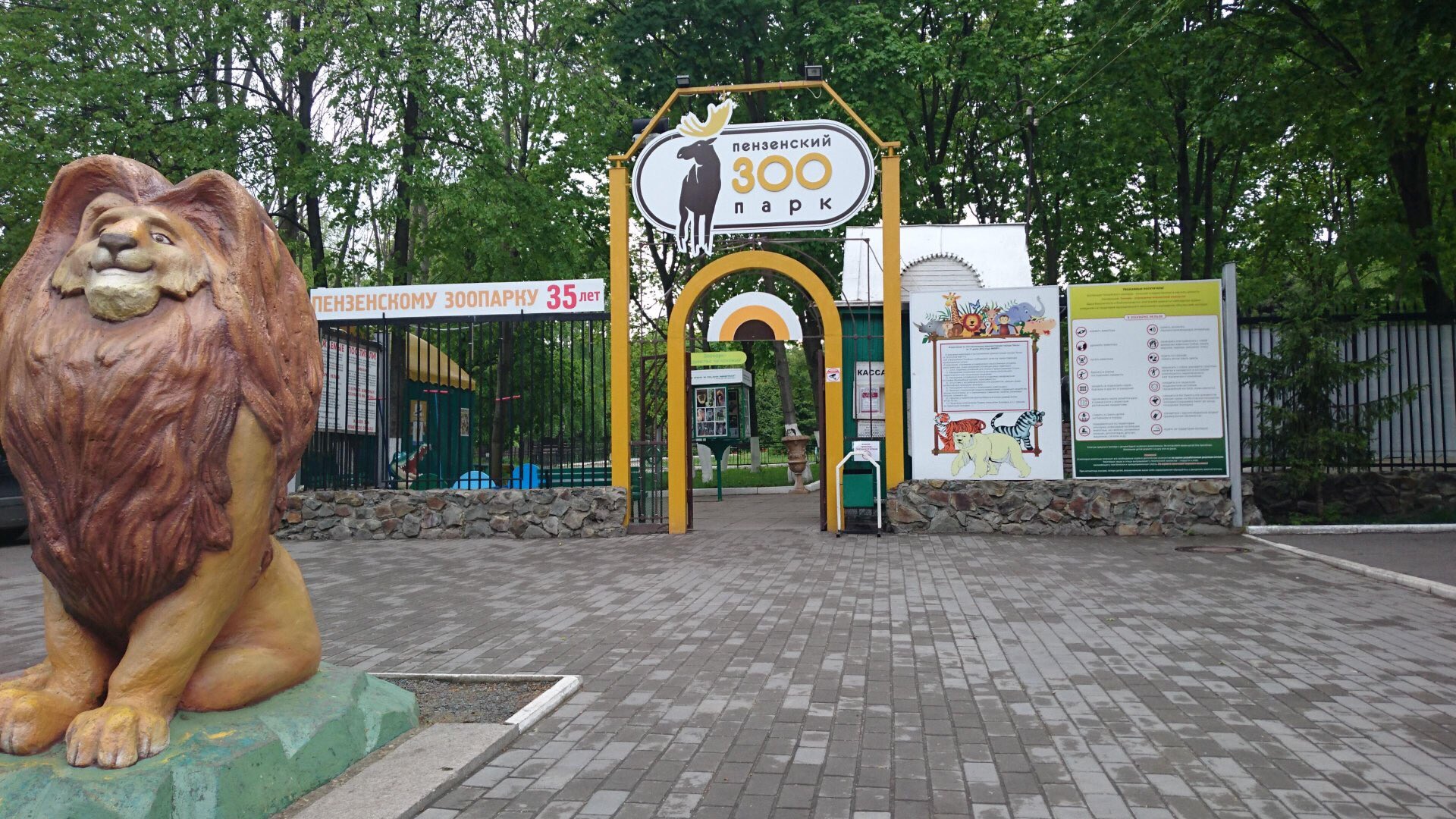 Кошкой прикольные, картинки пензенского зоопарка