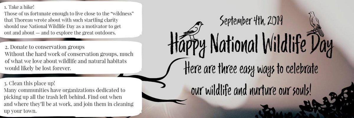 Larcheboston's tweet photo. #NationalWildlifeDay #nature #naturelovers https://t.co/DFPH1mWKU6