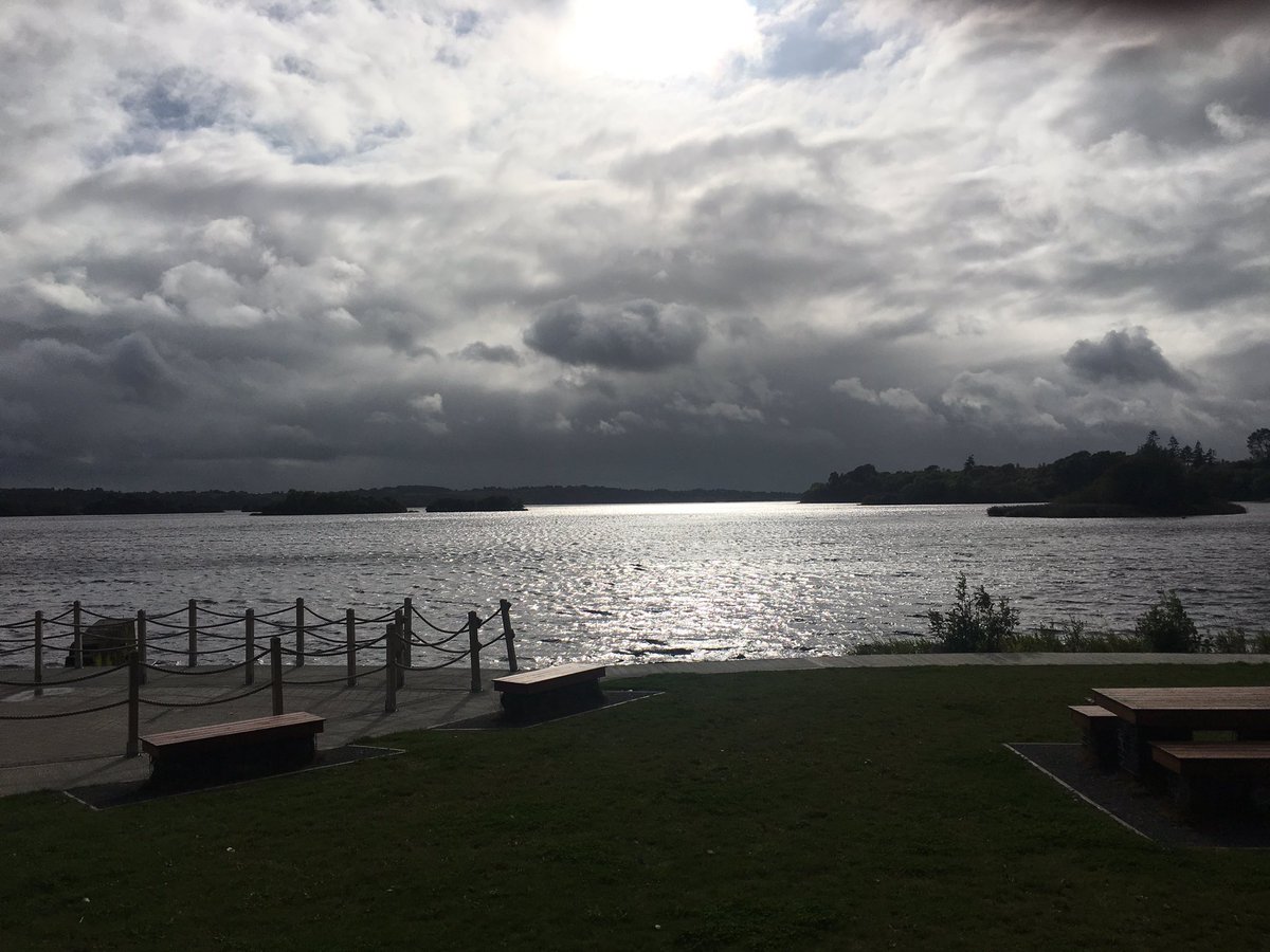 Rory Carty tweet media