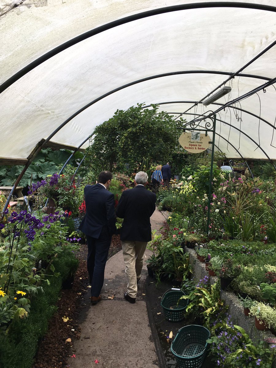 Rory Carty tweet media