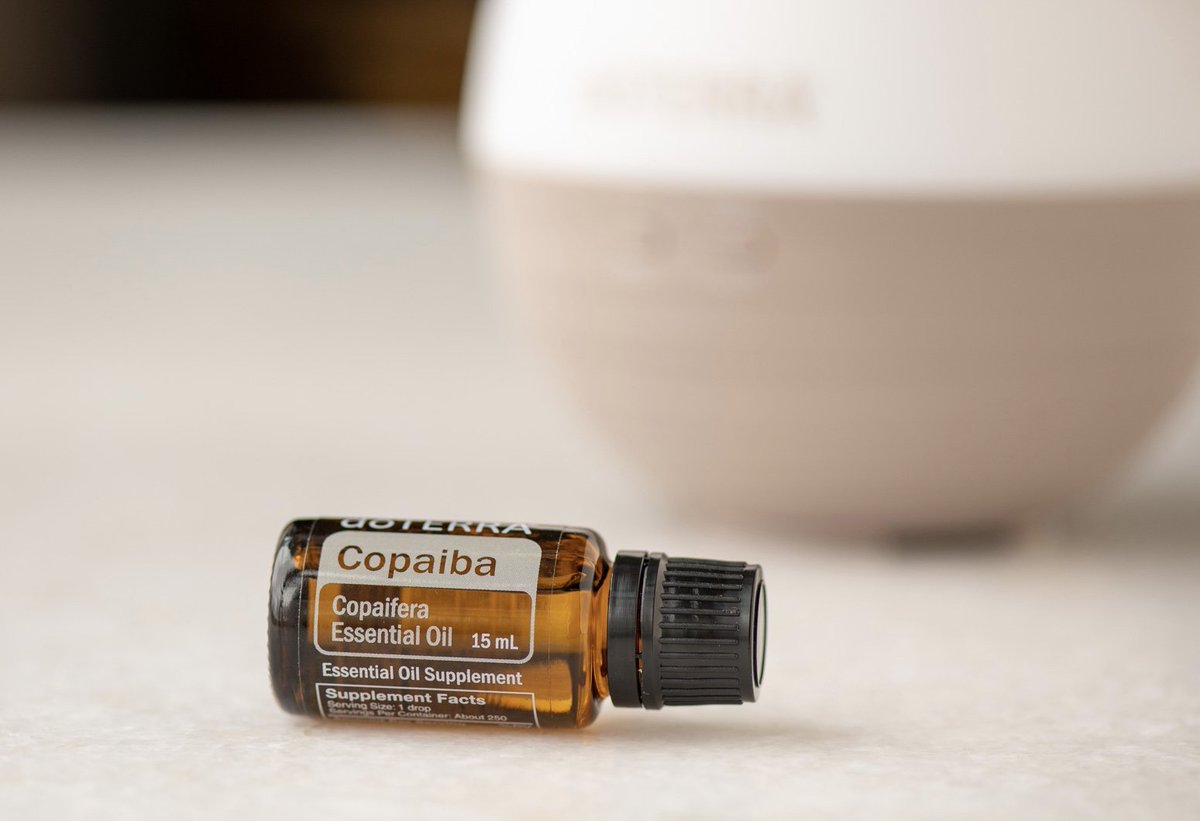 doterra's tweet photo. Copaiba has so many uses that can benefit everyone! Find out how you can use it here! 💛

https://t.co/PXLEsvxB70 https://t.co/eGCtvyhrLC