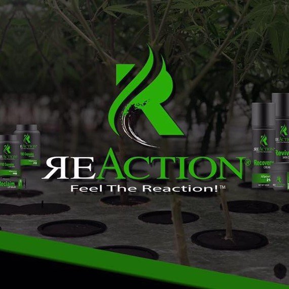 simms_missy's tweet image. Want to sell your own products or buy retail? Ask me how! Jump on board! #Fullspectrumextract #FSE #hemp #hempoil #healthyliving #plantsnotpills #entourageeffect #reaction #mylifessimple #ECS #Endocannabinoid #Hempplanteducation #multiplesclerosis #anxiety #anxietyrelief #ptsd