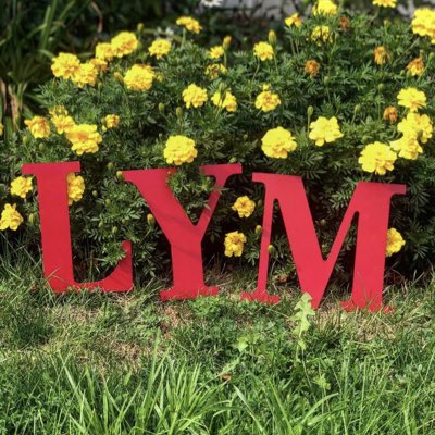 wiulymcrew's tweet photo. #NewProfilePic https://t.co/QfbO0KQLB6