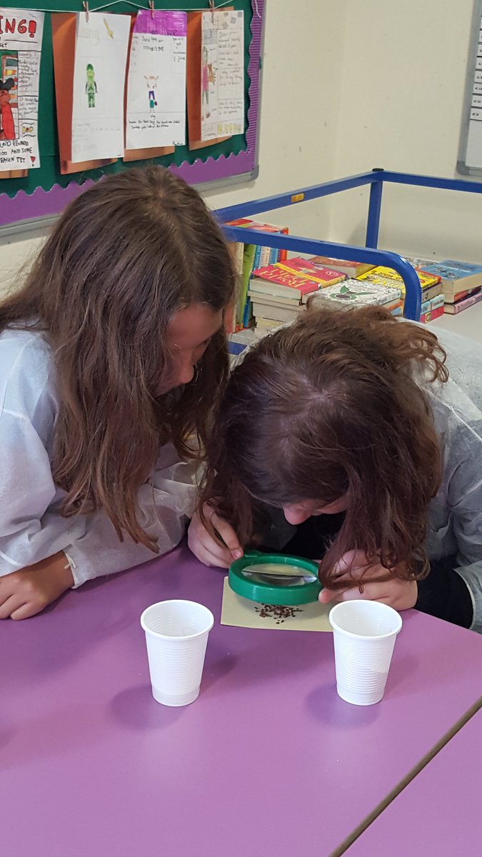SusanMac20's tweet photo. In Science, Primary 6B were learning about solids and liquids. They looked closely at granular properties of sugar, salt, coffee and flour. #Science #learningthroughinvestigation @SimpsonPrimary https://t.co/6CJZKTF9bz
