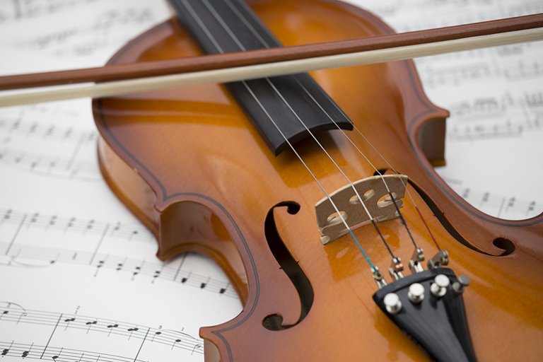 MCPL_Libraries's tweet photo. Enjoy an afternoon of #ChamberMusic at #GaithersburgLibrary, 9/7, 3:30p. The NIH Community Orchestra will perform a variety of works for small brass, string, and wind ensembles. Join us! https://t.co/BsDQ1p4CqX https://t.co/KwqcP4bt6t