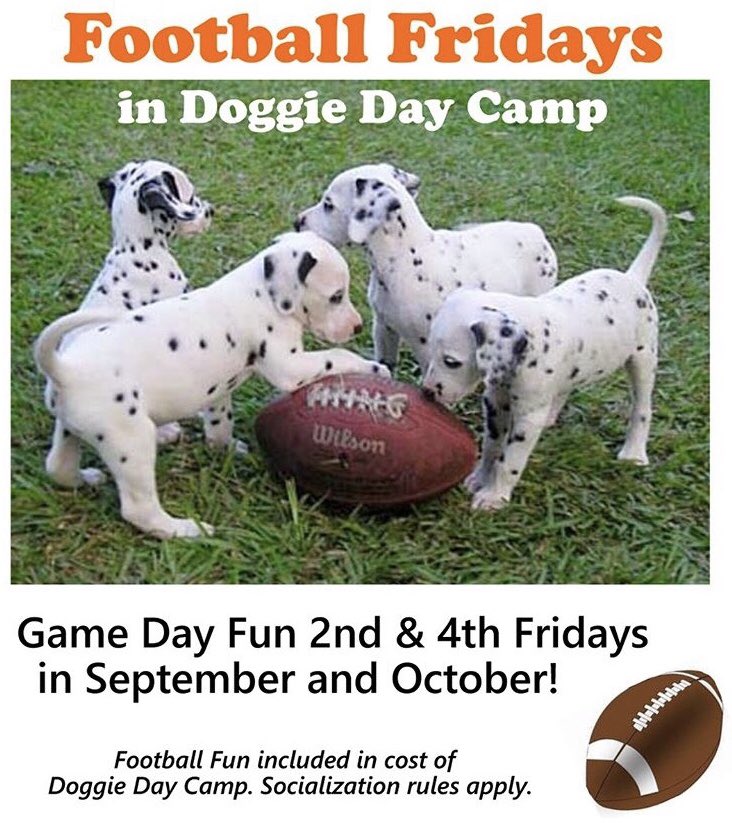 safaripetresort's tweet photo. It’s almost FOOTBALL FRIDAY TIME! 🏈Join us NEXT Friday 9/13 in Doggie Day Camp for Game Day good times!🏆
.
#safaripetresort #footballfriday #murfreesboro #touchdown #doggiedaycare #doggiedaycamp #playtime #dogsofmurfreesboro #dogsoftn #dogtreats https://t.co/VmjsniKjIc