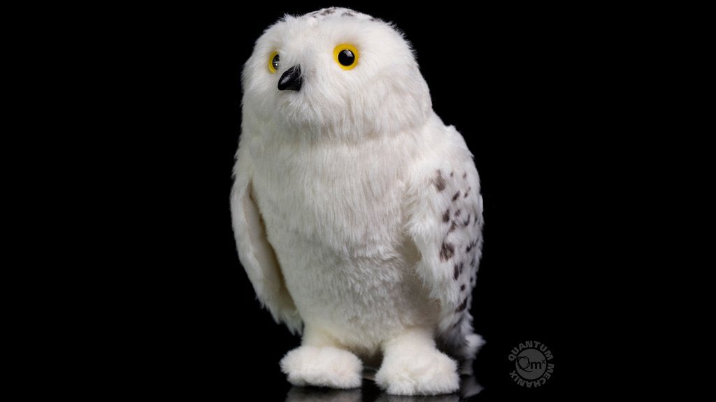 QMxInsider's tweet photo. Speaking of #wildlifeday, who hasnโt wanted their own #Hedwig since 1997?? Weโd be pretty keen on some #babynifflers too! Send for your own #postowl, shipping now, and sign up for email sightings of #Niffler babies, at https://t.co/7XAAsdKA31! #harrypotter #fbawtft https://t.co/Fxb1lz5spK