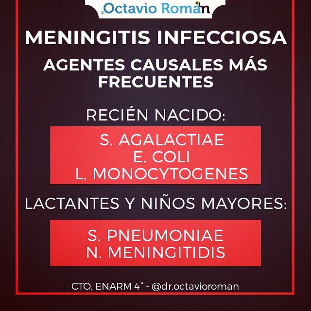 droctavioroman's tweet photo. La presencia de petequias o erupción purpúrica, que se asocia a N. MENINGITIDIS.
#repasoenarm #enarm #tipsenarm #enarm2019 #repasomédico #medstudent #médico #udg #cucs #cuc #cualtos #cusur #cutonala #medicinaudg #flashcard #octavioroman #medicoblasto #pasante #dr #meningitis https://t.co/XN4rC9nnem
