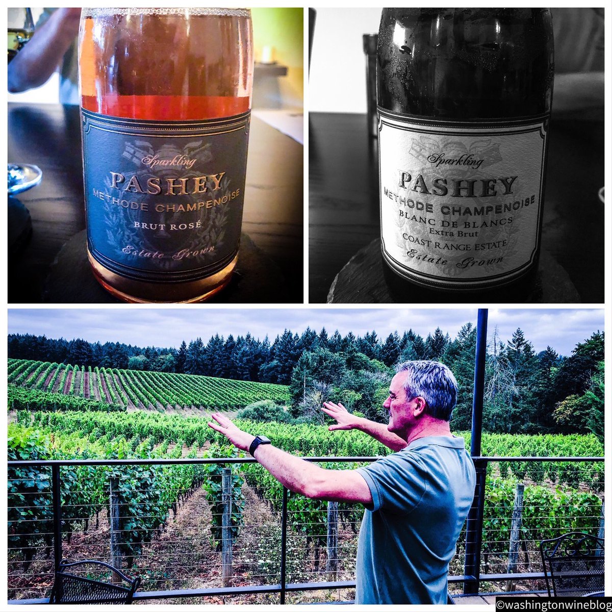 Perfect timing for this Pashey feature in @WA_WINE_BLOG as our Harvest began yesterday with our first pick for Blanc de Blancs on our Ribbon Ridge Estate: Cheers to a great 🍾#harvest2019  washingtonwineblog.com/blog/2019/9/3/…
#oregonwine #pasheybubbles #wvharvest2019