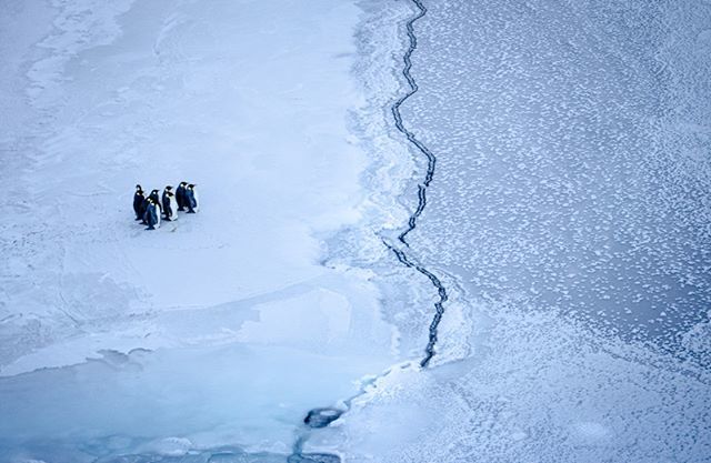 Flowphotofest's tweet photo. BORDERS: FLOW Photofest 2019 Open Competition selection:⁣
⁣⁣
⁣You First, climate change in Antarctica - Kira Morris 
Kira Morris is an international award-winning photographer currently spending her fourth winter living and working at McMurdo Station… https://t.co/PFq4jitvU7 https://t.co/1587CT9wdt