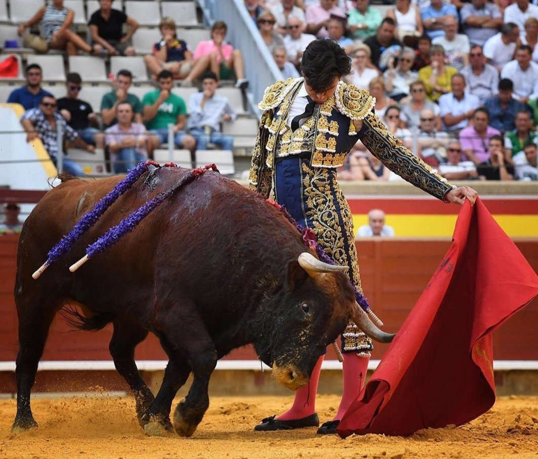 This is how we roll #TÑT🧨 

📷: <a href="/TierrasTaurinas/">Tierras Taurinas</a> / <a href="/TorosenPalencia/">Toros de Palencia</a> .