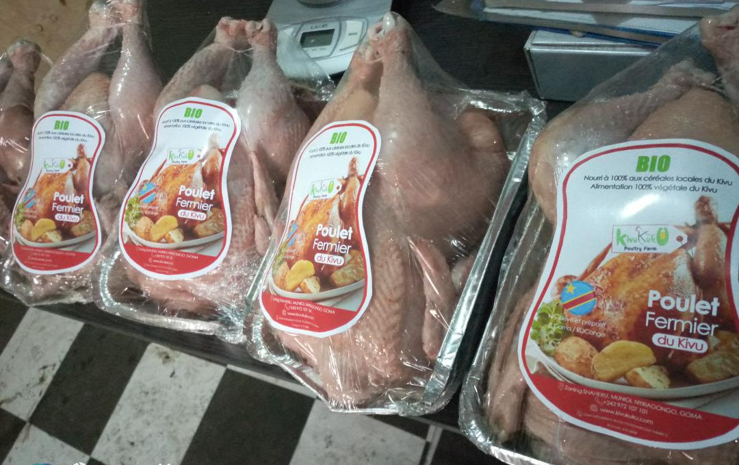 ypard_rdc's tweet photo. #PouletBio de la Sté #Kivu_Kuku_Poultry_sarl. Voici un modèle des #jeunes de @ypard_rdc qui nécessite la mise en échelle.Disponible à Goma et nourri á 100% aux céréales du Kivu.
Tél: +243972107101 @PrimatureRDC @MathePayPay @Mapon_Matata @julienpalukucom @J_Roback @FAO @PNUDRDC https://t.co/oYpcgZ6Nrx