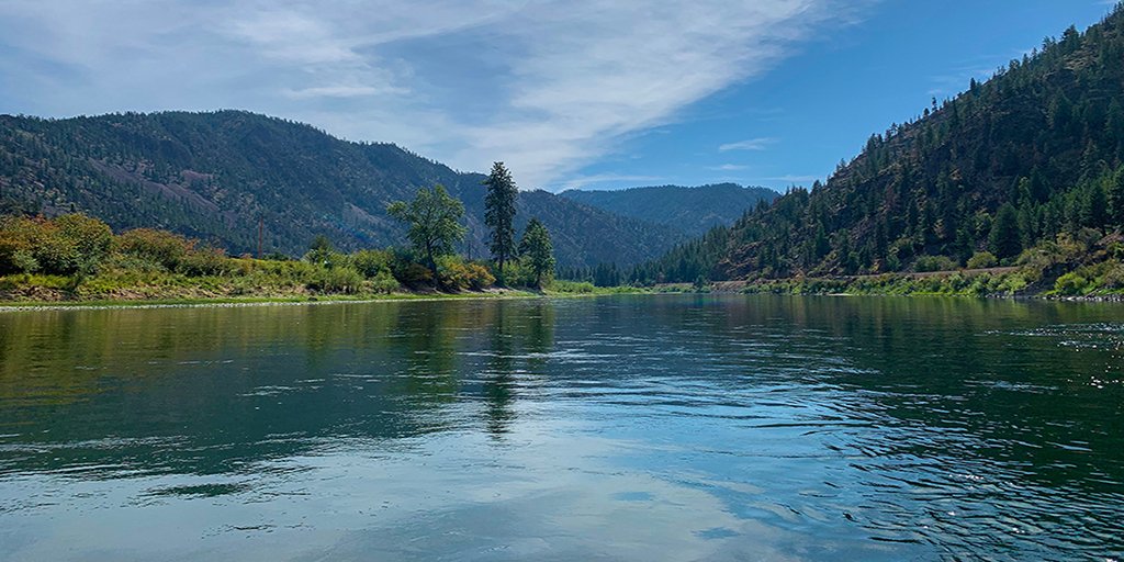 ImPatKilpatrick's tweet photo. "LANDING THE BIG ONE"
Actor, Author Patrick Kilpatrick fly fishing on his "DYING FOR LIVING: Sins &amp; Confessions of a Hollywood Villain &amp; Libertine Patriot" tour. Available at https://t.co/iEOlHmlDoo

#patrickkilpatrick, #dakami, #fishing_clothing, #DavidBartram_, #CortlandLine https://t.co/mLILkJp4Sa