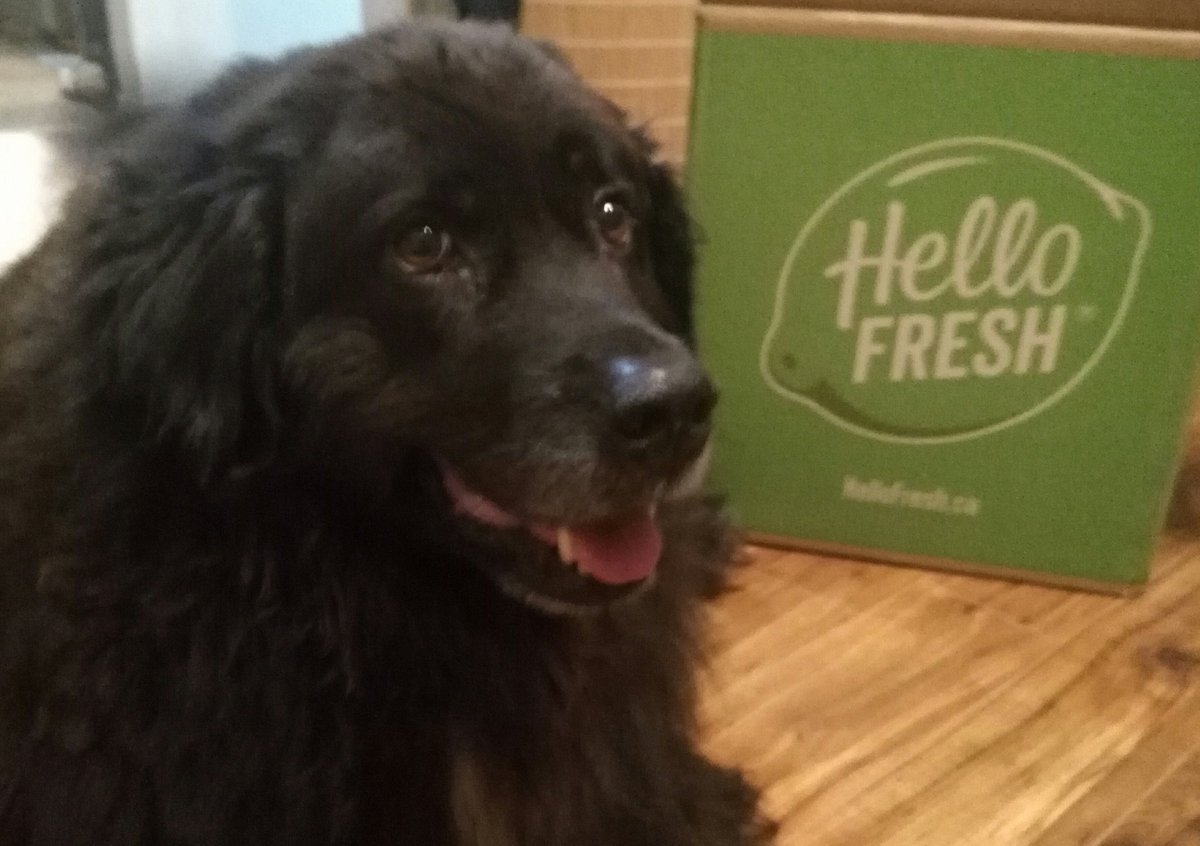 AE0NIC0's tweet image. Trying @HelloFreshCA for the first time tonight! #DinnerSolved 🐶💚