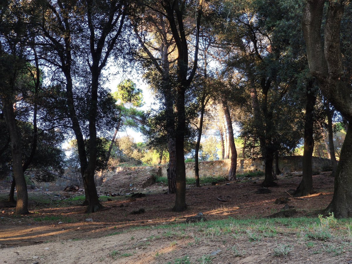 DavidRov82's tweet photo. En aquest turonet a davant de #CanBosc de #Dosrius, Arnau de Mercader (impulsor de la #TorredelaMiranda ) hi va fer construir #VillaLina una casa de fusta modernista construïda a 1899, com a observatori astronòmic. Malauradament durant la #GuerraCivil es va destruir. https://t.co/sWL57oSvKX