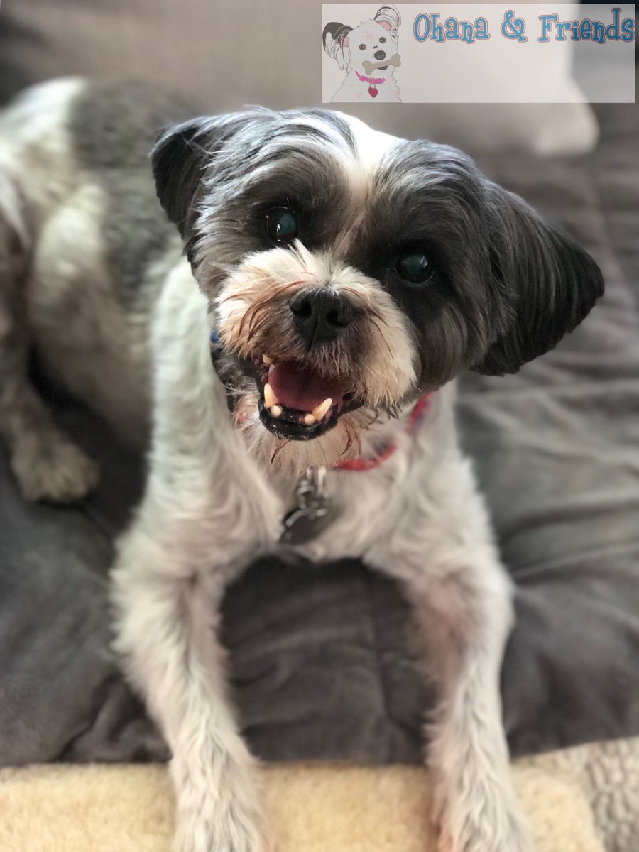 ohanaandfriends's tweet image. “We smile, we smile, we smile...” - Marty
#seasong #tearsforfears