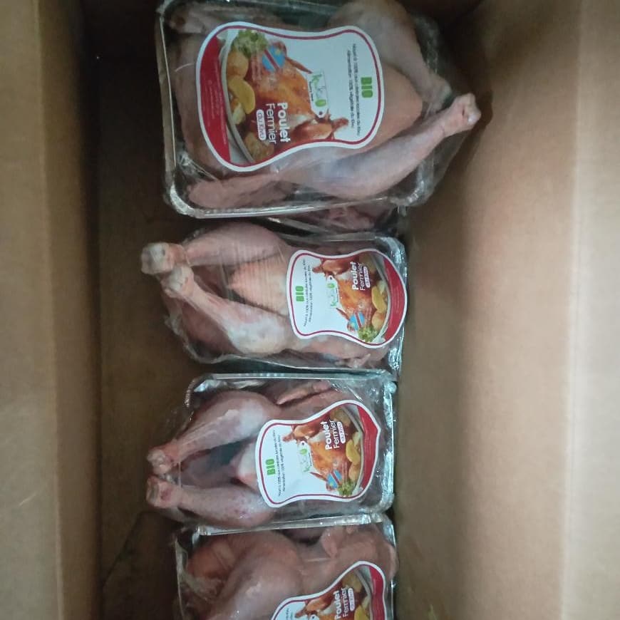 AimKazika's tweet photo. #PouletBio de la Sté #Kivu_Kuku_Poultry_sarl. Voici un modèle des #jeunes de @ypard_rdc qui nécessite la mise en échelle.Disponible à Goma et nourri á 100% aux céréales du Kivu.
Tél: +243972107101 @PNUDRDC @josephtsongo14 @RiafSarl @ChantalFaida @SuisseRDC @UEenRDC @AfDB_Group https://t.co/ouJHG5JATo