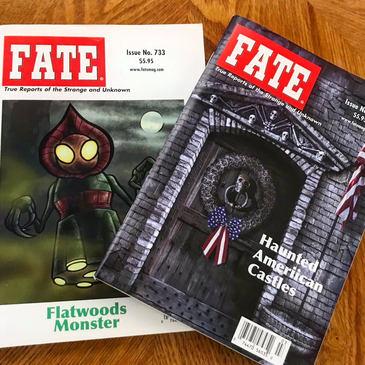 Excited for the new subscription to <a href="/FATE_Magazine/">FATE Magazine</a> gaining more knowledge into the unknown! Until next time Stay Spooky Nightmare365.com