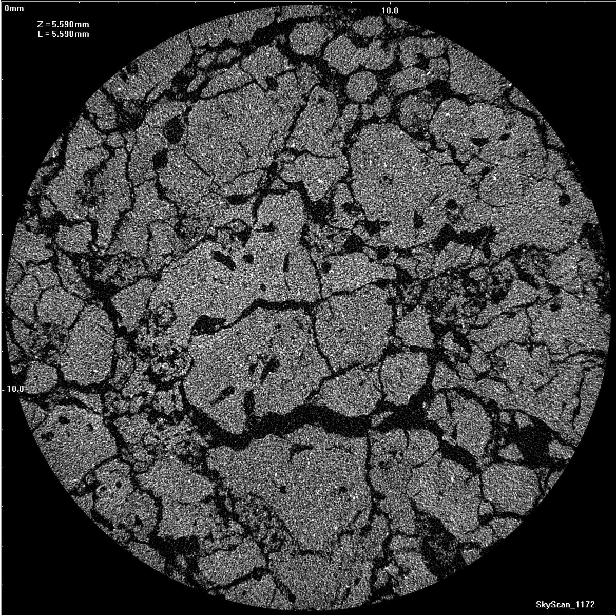Fresh scans from recent expedition. One more example of #soilaggregates existence. Classical case (this pic) - the granular structure of native #Chernozem from #Kurskregion.
Raw µCT data (without smoothing) shows geometrical elements in soil core sample (undisturbed!!).😉