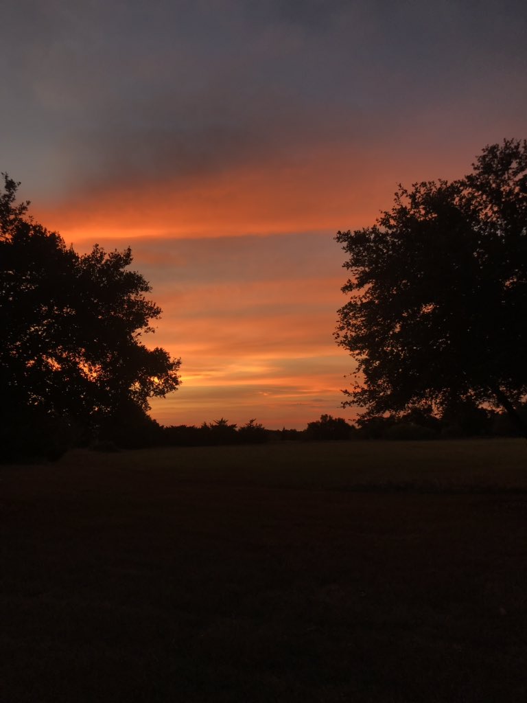 lifewithkarsynn's tweet image. Texas Sunsets are unbeatable 💛 #BurtonTX #campforall #orangeoasis #nature #gayphotography