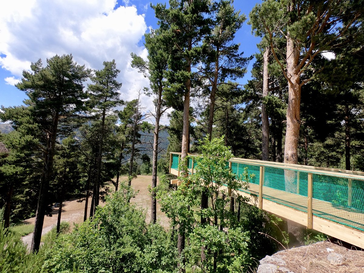 LandArtAndorra's tweet photo. #Shinrinyoku proposes to us to go deep into nature so we can exit it with our health renewed. If part of its practice consists of gazing at the forest’s beauty, why not looking at it from a new point of view too ?
__

SOLÉ, Jordi (CAT)
Passarel·la mirador
__

#LANDART19 https://t.co/10X7WbaVjs