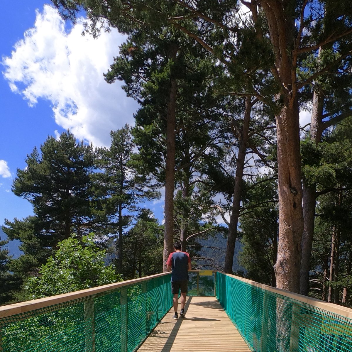 LandArtAndorra's tweet photo. #Shinrinyoku proposes to us to go deep into nature so we can exit it with our health renewed. If part of its practice consists of gazing at the forest’s beauty, why not looking at it from a new point of view too ?
__

SOLÉ, Jordi (CAT)
Passarel·la mirador
__

#LANDART19 https://t.co/10X7WbaVjs