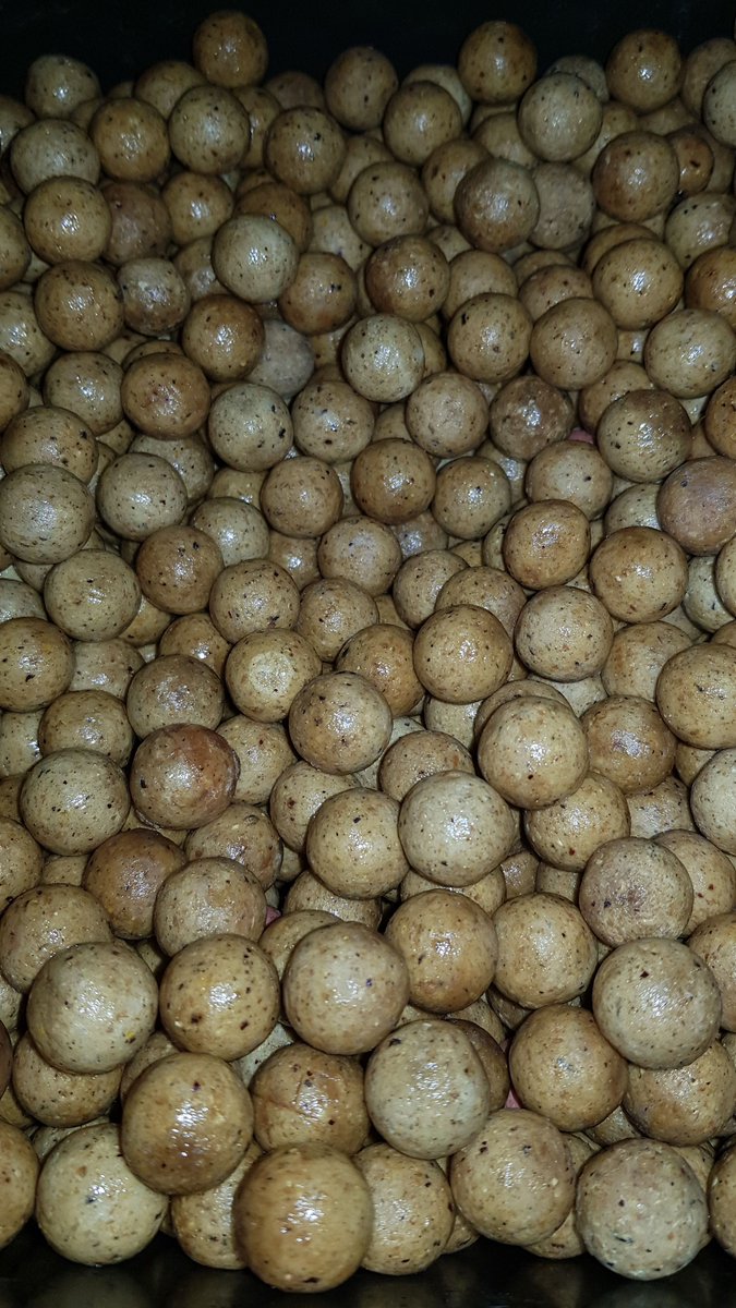 shagoffyeah's tweet photo. Throwing ten kilo of the Rolls Royce of boilies at these fuckers the weekend. 

The Cell, effort = reward 🤞🐟🎣💪

#baitprep #fishnonce https://t.co/agTNe73Bkm