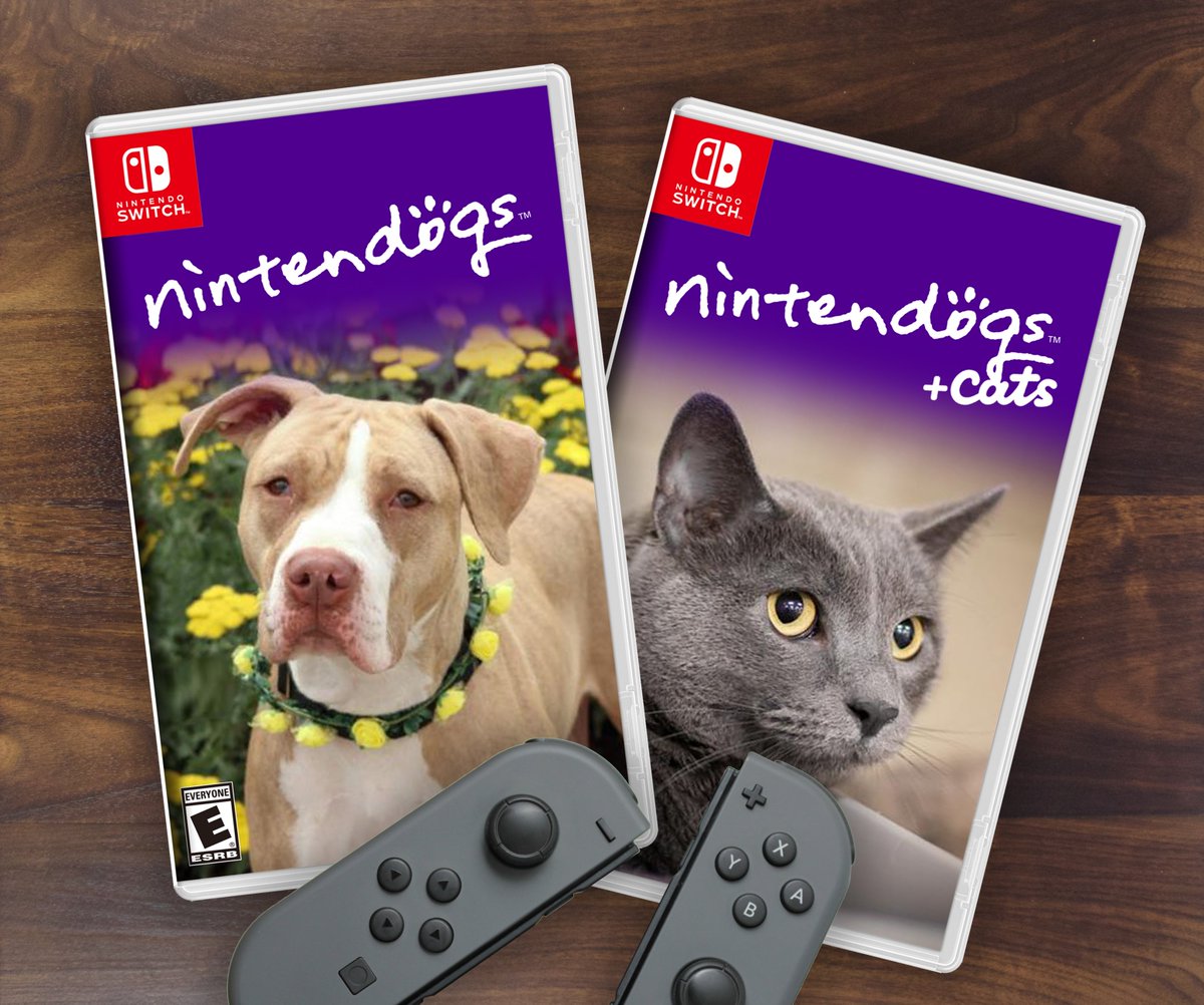 Nintendo cat. Nintendogs Nintendo Switch. Nintendogs. Nintendogs Switch. Nintendogs: Labrador & friends.