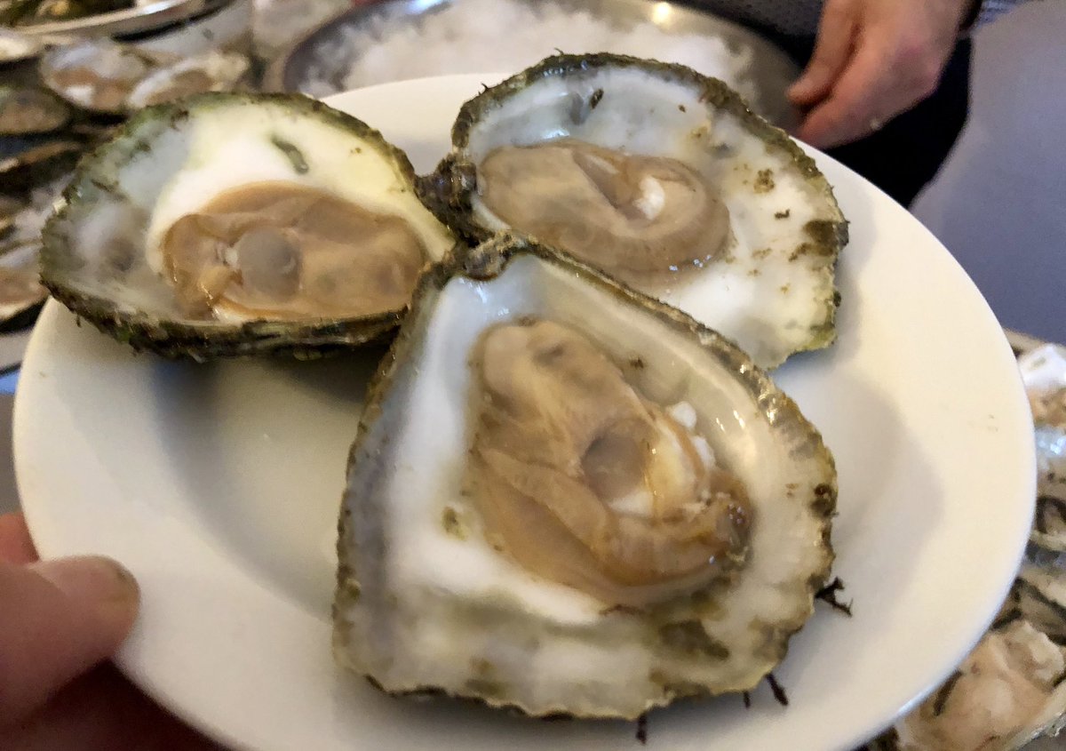 Wonderful showcase of Irish oysters tonight <a href="/CliffTownhouse/">Cliff Townhouse</a> with my two favourites: <a href="/flaggyshoreoyst/">Flaggy Shore Oysters</a> Daintys from Clare and our native wild (almost round shaped) oyster coming from <a href="/KellyOysters/">Kelly Oysters</a> in Galway. Both very different in taste but ✨👌🏻🇮🇪