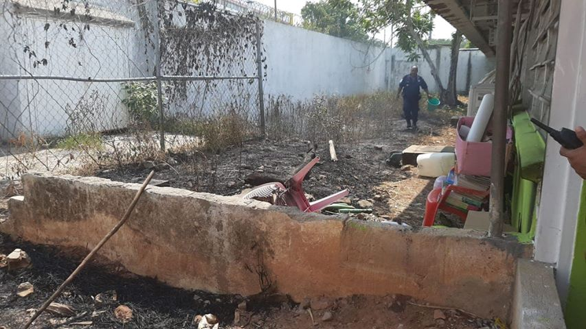 xevtfm's tweet photo. Solicitan el apoyo de @ProcivilTabasco / @CentroCPCM para el retiro de unas ramas que hacen contacto con un cable de alta tensión en la escuela Graciela Pintado de Madrazo, de la col. El Recreo

Número K1703797036 @CFE_Contigo https://t.co/tbaoM2NnIF